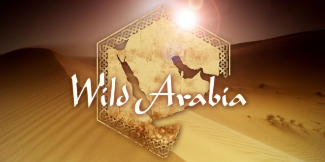 WILD ARABIA: Watch the First Episode Online